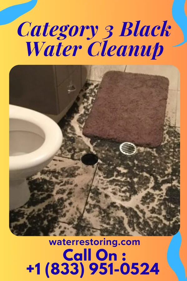 Category 3 Black Water Cleanup in Middleport, PA