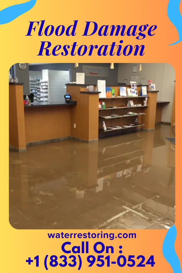 Flood Damage Restoration in Middleport, PA