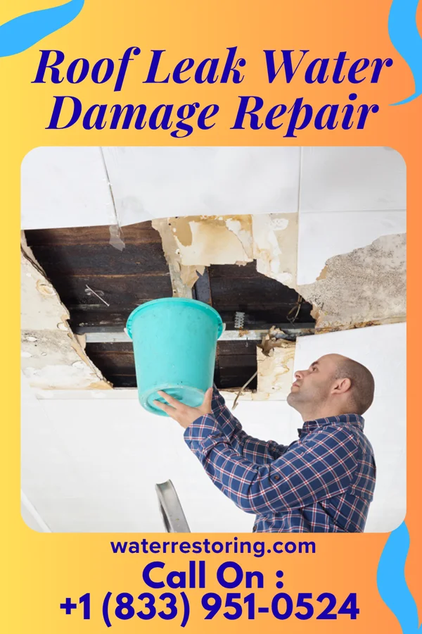 Roof Leak Water Damage Repair in Middleport, PA