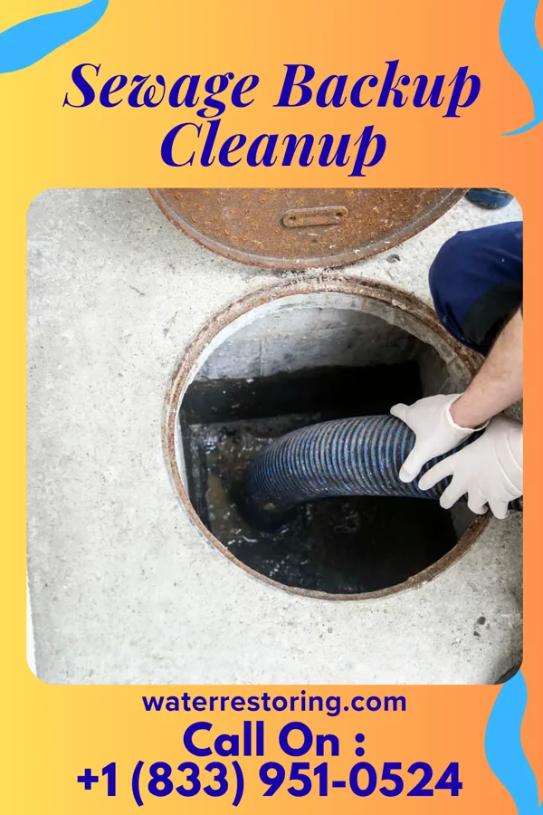 Sewage Backup Cleanup in Middleport, PA