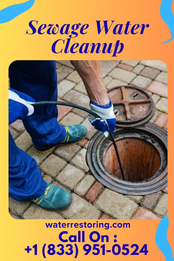 Sewage Water Cleanup in Middleport, PA