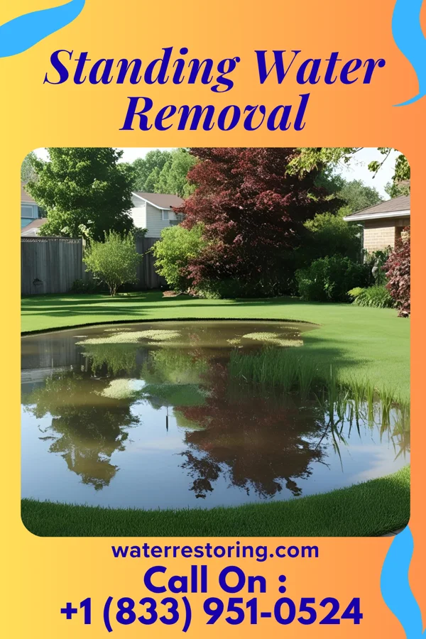 Standing Water Removal in Middleport, PA